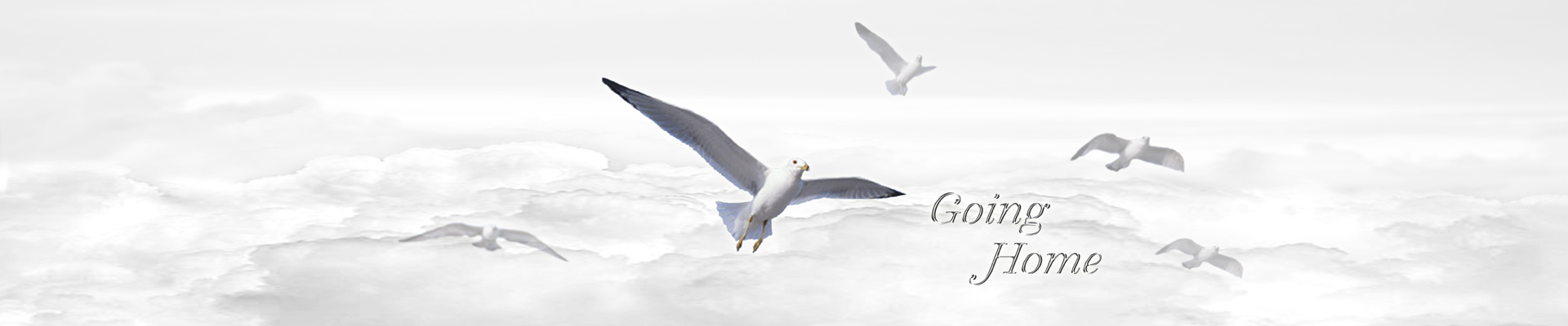 P FC 102 SL WT Going Home Silver White Clouds FULL COUCH PRINT